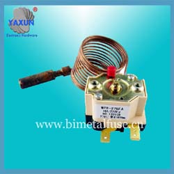 Dual probe bellows plug in thermostat