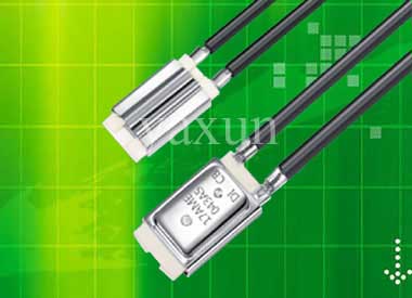 17Am Temperature control switch