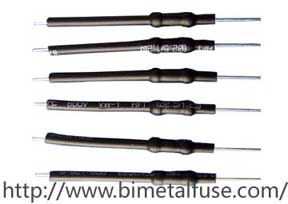 Fusible de tubo de vidrio