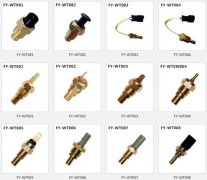 Self-developed car temperature sensor & car water temperature control switch copper probe