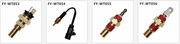 Automotive water temperature sensor plug