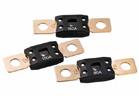 ANM Slow Blow Bolt Fuse 