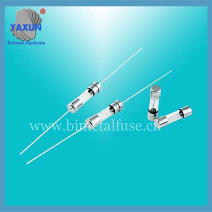 3.6x10mm US Regulatory Glass _ Ceramic Tube Slow Blow Fuse